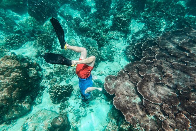 Koh Tao VIP Snorkelling Tour - From Bangrak to Koh Tao: the 9:00 am start that matters