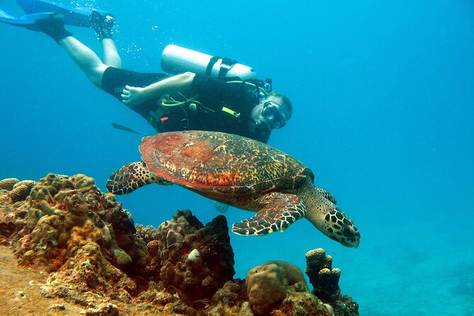 Koh Tao VIP Snorkelling Tour - Is the price ($193.95) fair for what you get?