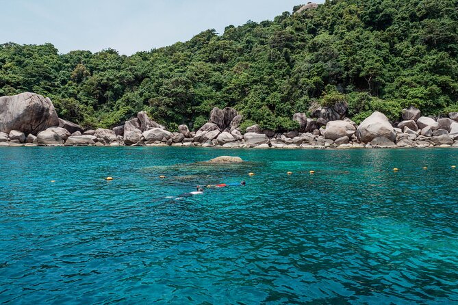 Koh Tao VIP Snorkelling Tour - Small-group limits: max 12 and why it feels calmer