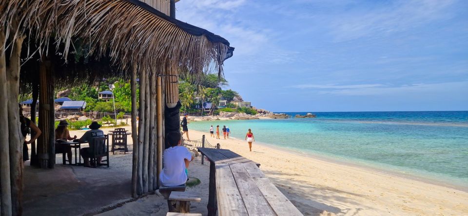 Koh Tao: Visit to Koh Nang Yuan with Hotel Transfers - Price and logistics: is $83 a good deal?