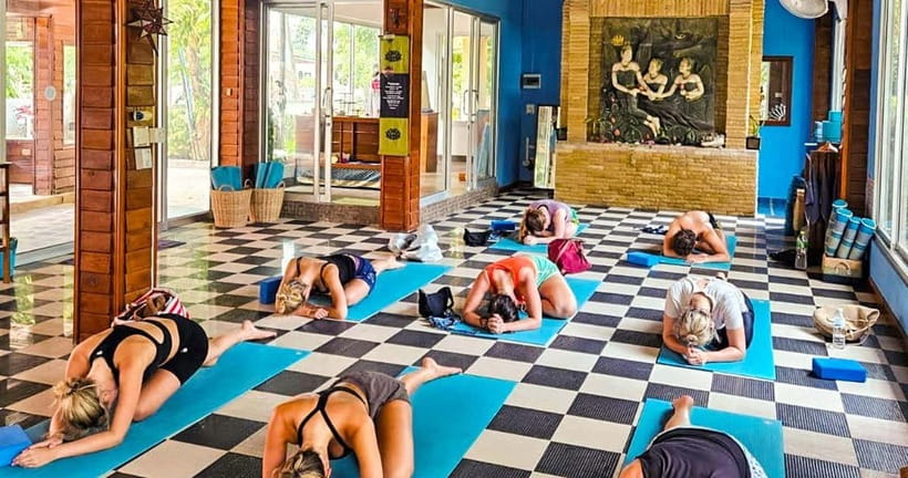 Koh Tao: Yoga Class In Paradise - All Levels Welcome! - What kind of traveler should book this class