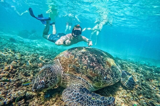 Koh Tao’s Top Snorkeling Spots by Vintage Wooden Boat - Mango Bay lunch with views of Nangyuan