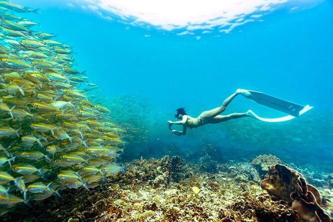 Koh Tao’s Top Snorkeling Spots by Vintage Wooden Boat - Nangyuan Island and the three-island sandbar stop