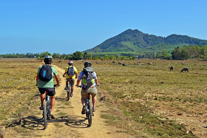 Koh Yao Noi Full Day Tour with Bike Ride & Lunch - Beach picnic lunch: a tasty reset (when conditions allow)
