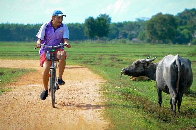 Koh Yao Noi Full Day Tour with Bike Ride & Lunch - Morning ride: 14 km through countryside, markets, and mangroves