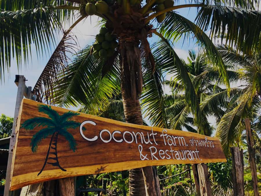 Koh Yao Noi: The Local Way of Life Eco Half-Day Tour - Fishing village visit: learn the life, even when boats aren’t in sight