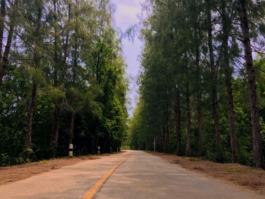 Koh Yao Noi: The Local Way of Life Eco Half-Day Tour - The rice farm visit: lush scenery with a working mindset