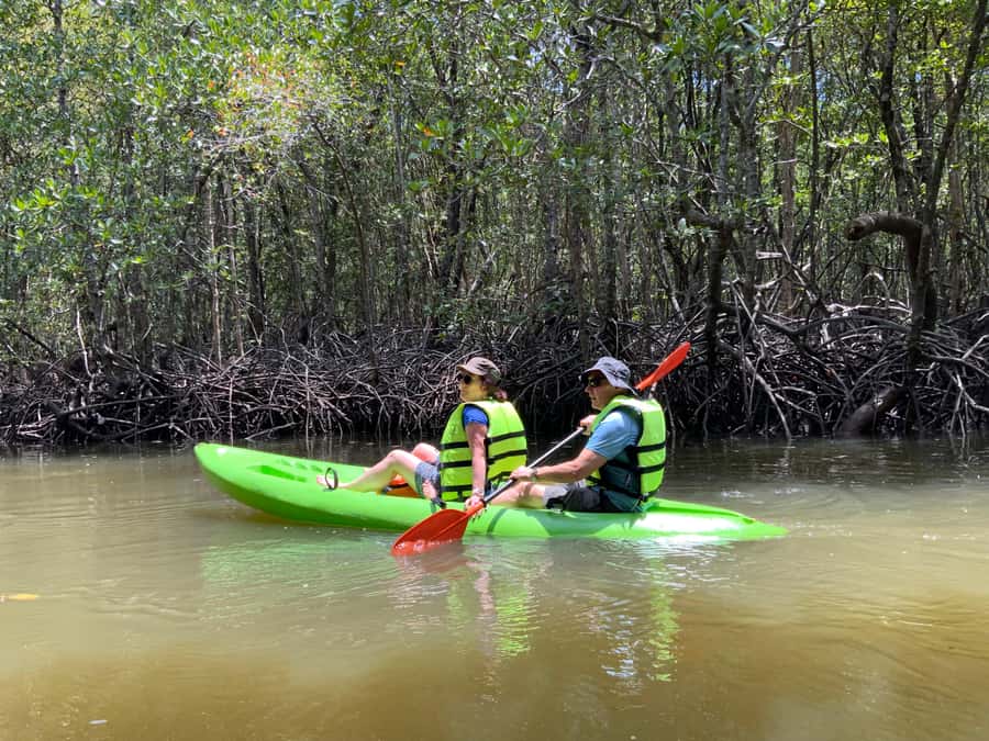 Koh Yao Yai: Klong Hia Mangrove Kayaking - The Main Event: Kayaking Through Koh Yao’s Mangrove Jungle