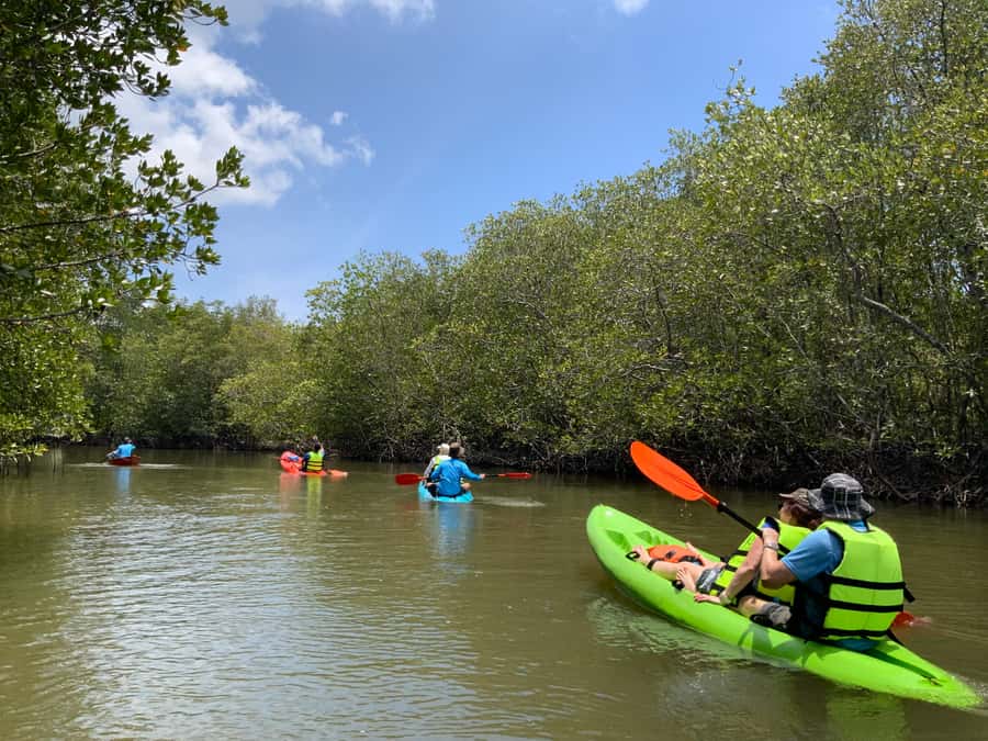 Koh Yao Yai: Klong Hia Mangrove Kayaking - Lunch at Seaview: Thai Classics With a Mangrove Story Behind Them