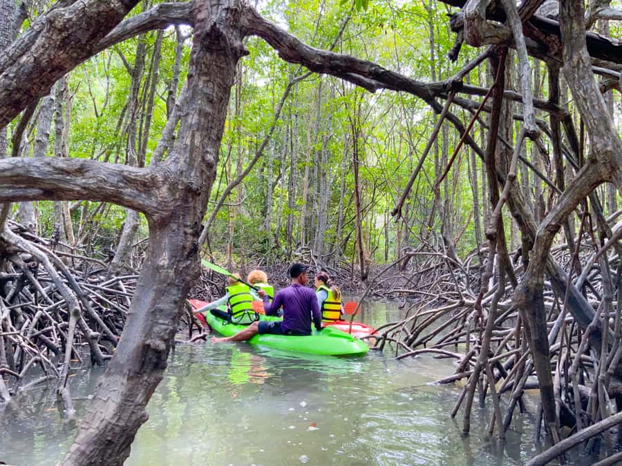 Koh Yao Yai: Klong Hia Mangrove Kayaking - Getting Started on Koh Yao Yai: Pickup, Safety Briefing, and Your First Paddle