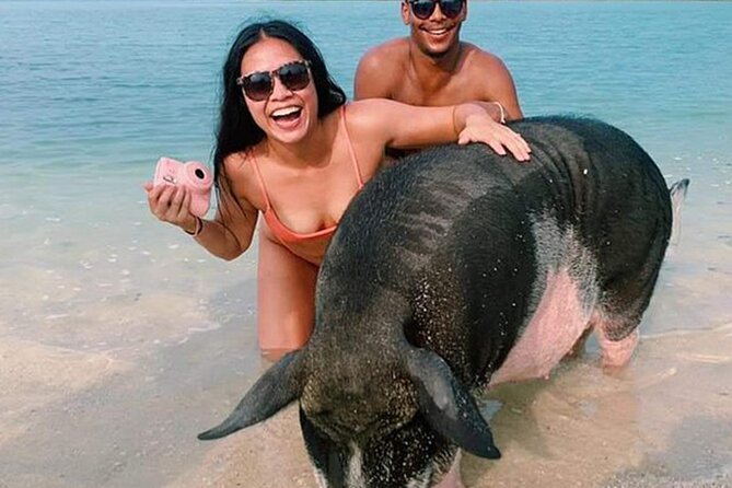 kohsamui.tours - Pig Island Snorkeling Eco Tour by Speed Boat - Key things to know before you go