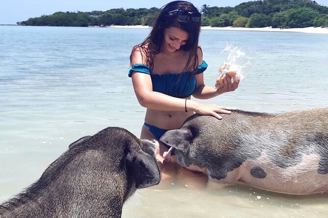 kohsamui.tours - Pig Island Snorkeling Eco Tour by Speed Boat - Lunch on the beach: traditional Thai food where the pigs hang out