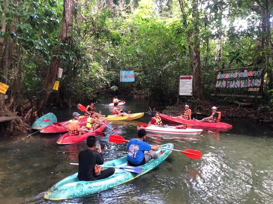 Krabi: Amazon Klong Srakaew Kayaking With Lunch - Mixed animal-welfare feedback: how to protect your day