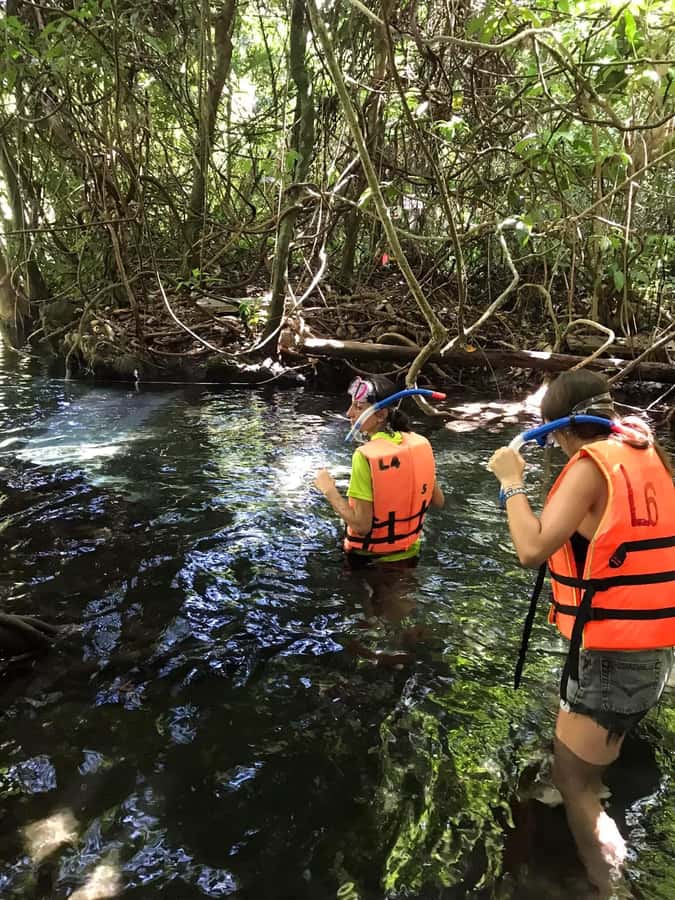 Krabi: Amazon Klong Srakaew Kayaking With Lunch - Krabi’s Klong SraKaew Canal: the calm you came for