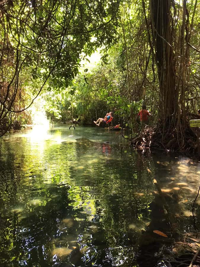 Krabi: Amazon Klong Srakaew Kayaking With Lunch - Swimming and playing: when the water invites you