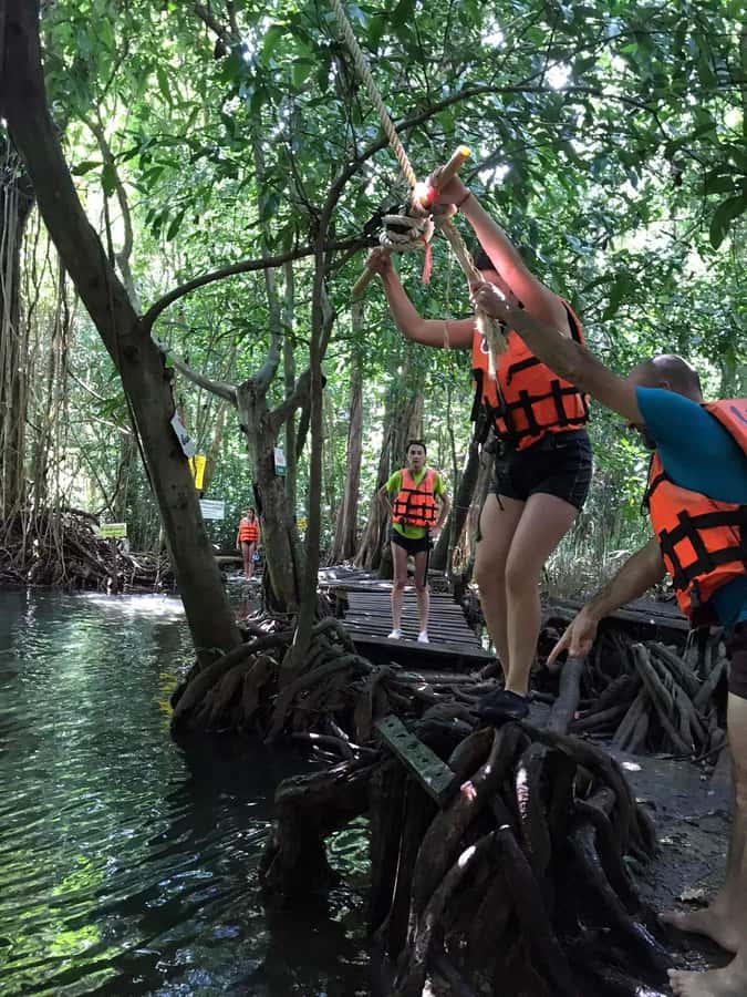 Krabi: Amazon Klong Srakaew Kayaking With Lunch - Lunch on the water: fried rice, fruit, and soft drinks