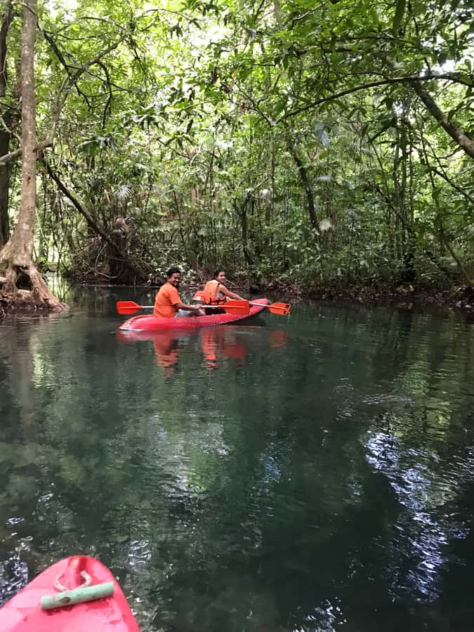 Krabi: Amazon Klong Srakaew Kayaking With Lunch - Transfers, pickup points, and where plans can get annoying
