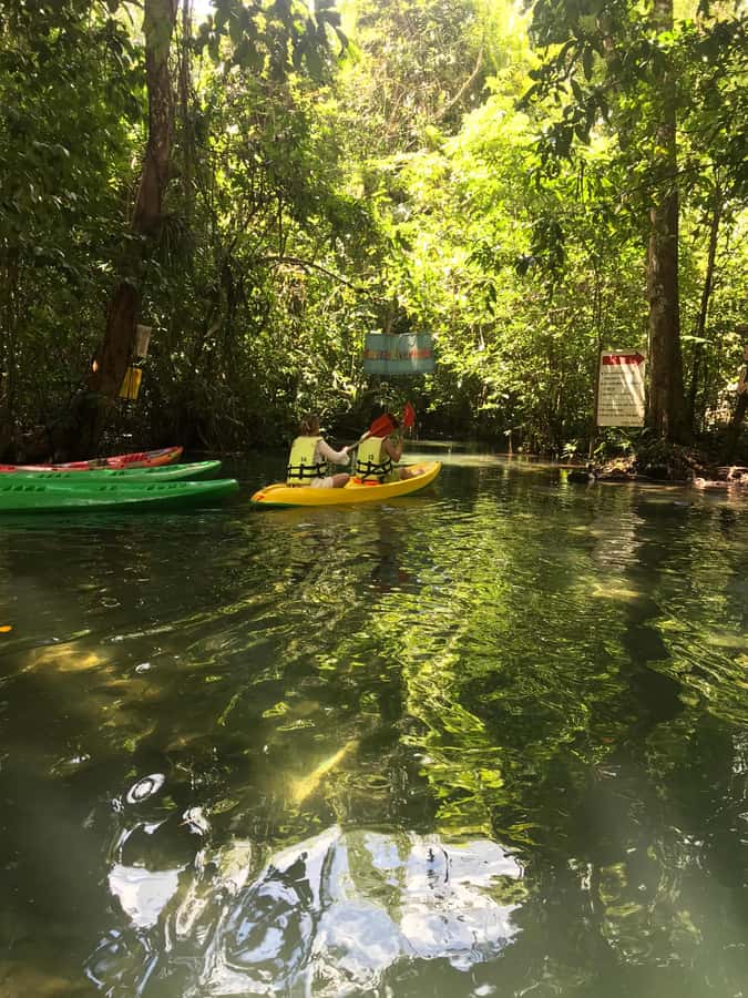 Krabi: Amazon Klong Srakaew Kayaking With Lunch - What a 3-hour day actually looks like
