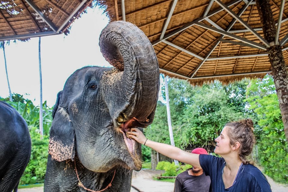 Krabi: Ao Nang Elephant Sanctuary Half-Day Tour - Key things to know before you go