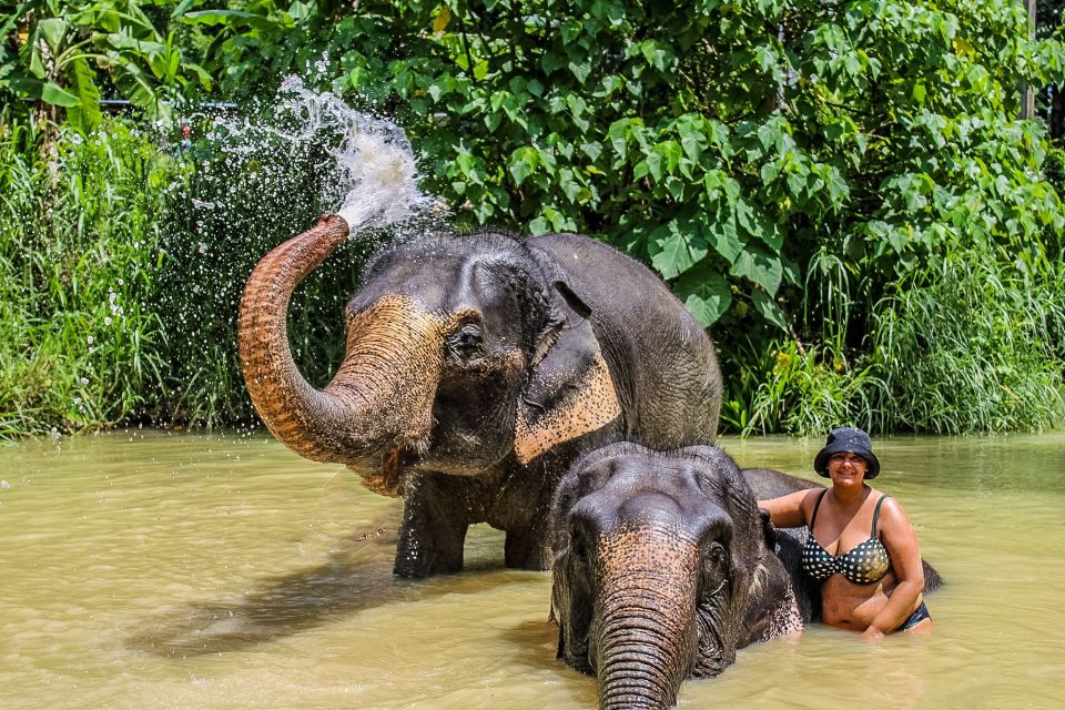 Krabi: Ao Nang Elephant Sanctuary Half-Day Tour - Food and drinks after the elephants: keeping the day comfortable