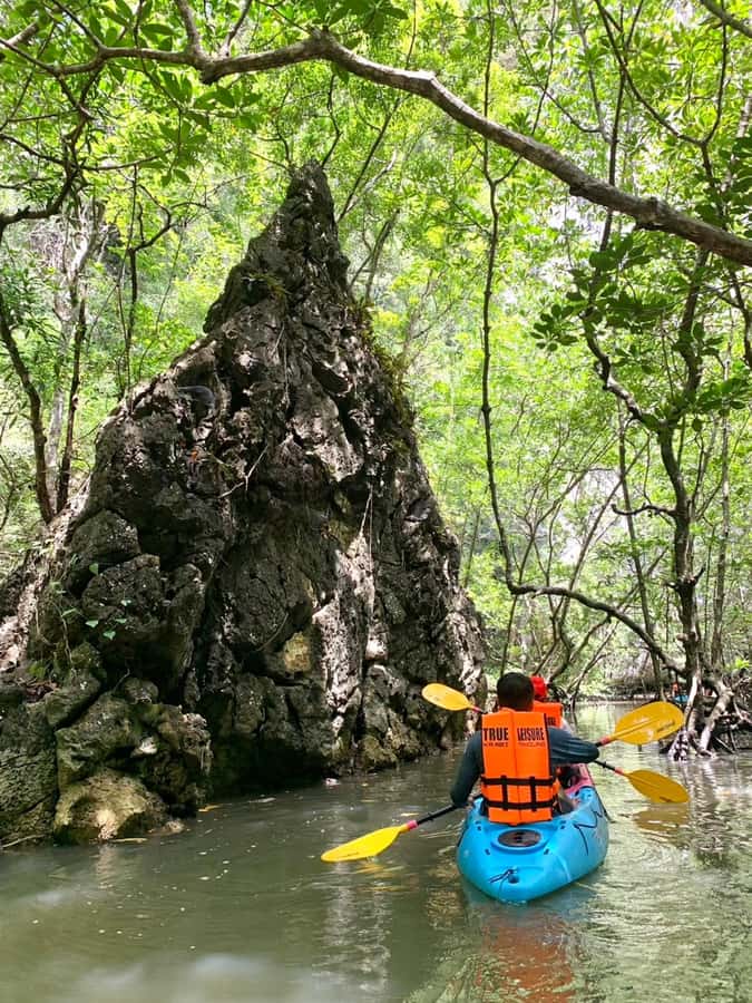Krabi: ATV Jungle Bash & Kayak Odyssey in Din Daeng Mangrove - Mangrove Forest Paddling, Ko Ha (Five Islands), and Limestone Cave Scenery