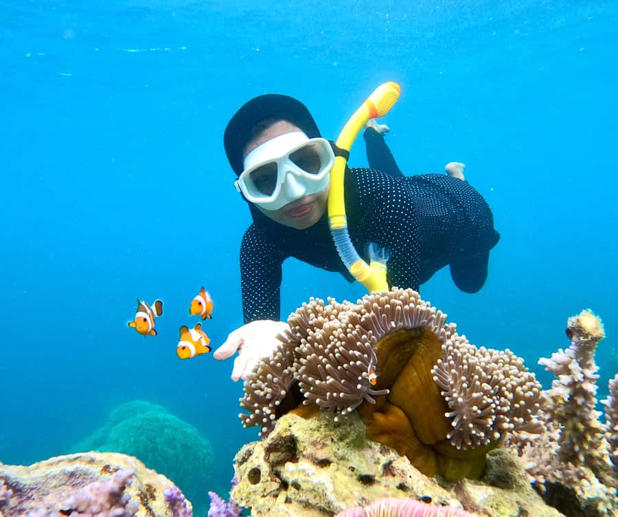 Krabi: Bioluminescent Plankton, Snorkeling & Sunset Tour - Price and value: $40 plus one common extra