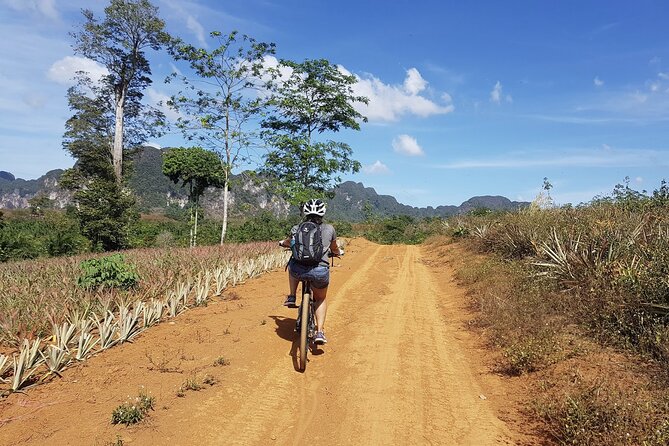 Krabi Countryside Eco Cycling Tour - Multiple Trails - A half-day bike escape from Krabi’s main roads
