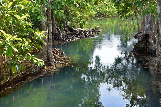 Krabi Countryside Eco Cycling Tour - Multiple Trails - Emerald Pool (Sa Morakot): the break that earns its time