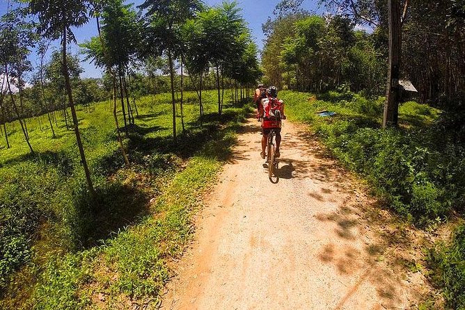 Krabi Countryside Eco Cycling Tour - Multiple Trails - Price and value: what you get for about $51.84