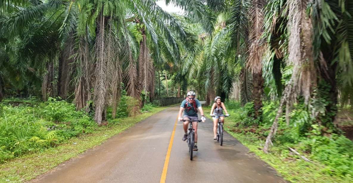 Krabi: Cycling Tour To Krabi - Temple-Area Cycling: Mountain Bike Access to Sacred Ground