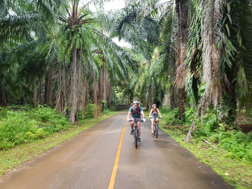 Krabi: Cycling Tour To Krabi - Batik Demonstration and Cultural Stops: Small, Included, and Worth It