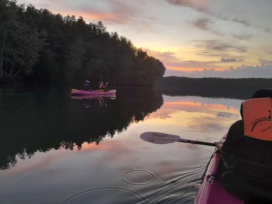 Krabi: Early bird kayak through Ao Thalane on private guide - Wildlife moments that feel real, not scripted