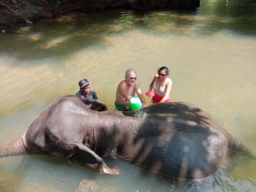Krabi Elephant bathing and Atv adventure (30min/30min) - Elephant mud bathing: the calm start in Krabi’s jungle