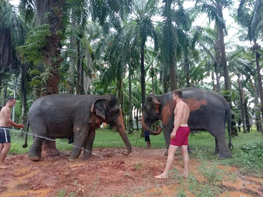 Krabi Elephant bathing and Atv adventure (30min/30min) - Timing that actually works: combining elephants and quads in one day