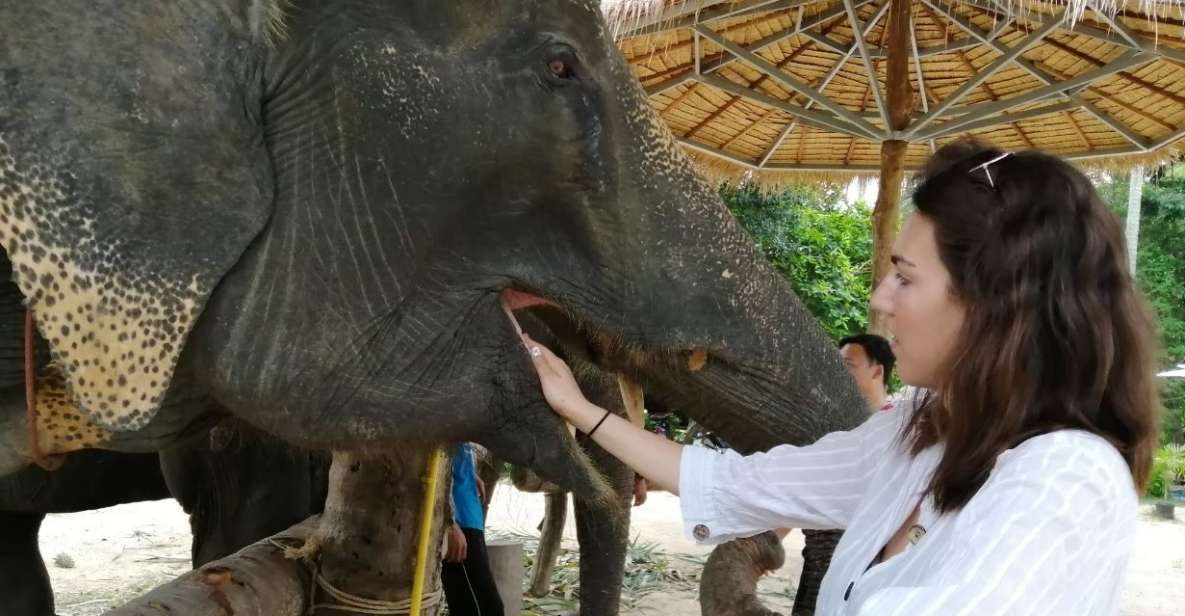 Krabi: Elephant Bathing and Huay Tho Waterfall Day Trip - Elephant bathing at Ao Nang Elephant Sanctuary: what you’re really signing up for