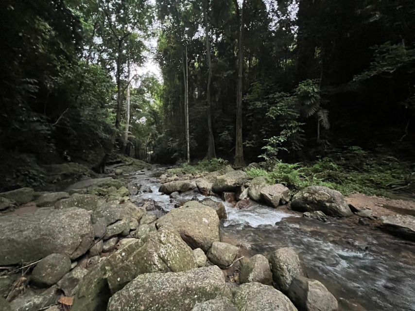 Krabi: Elephant Bathing and Huay Tho Waterfall Day Trip - Optional jungle ATV ride: adrenaline with plantation and mountain views