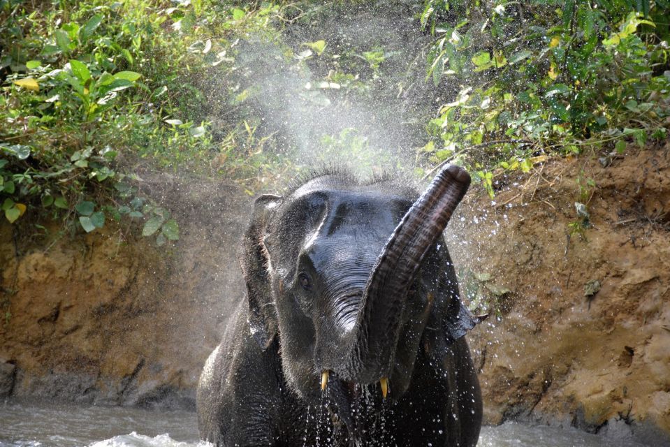 Krabi: Elephant Care House & 7-Level Huay Tho Waterfall Trip - Tips to Make the Day Go Smoothly