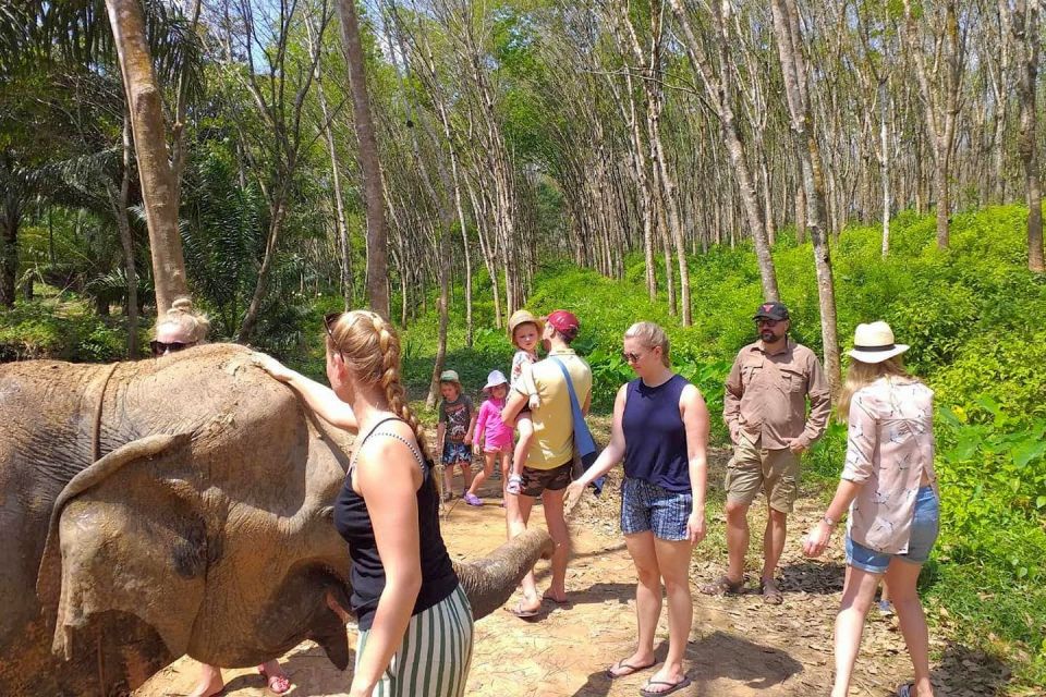 Krabi: Elephant Care House & 7-Level Huay Tho Waterfall Trip - Krabi Elephant Care near Phanom Bencha: Why This Day Feels Different