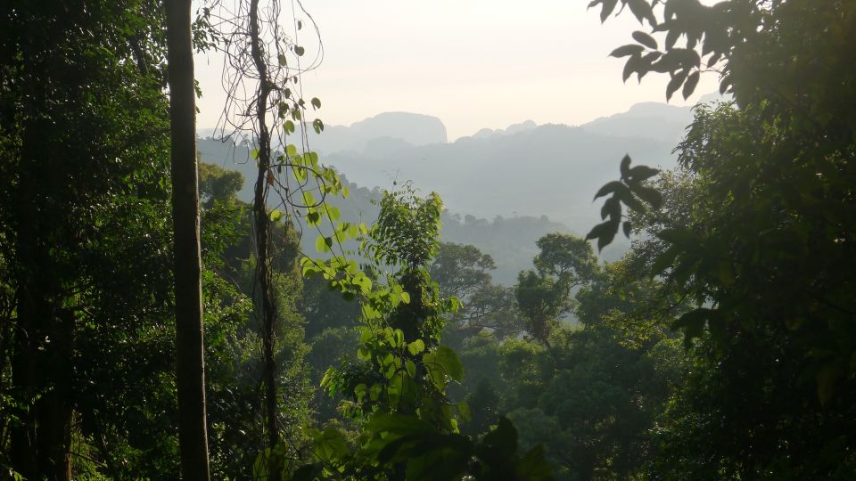 Krabi: Elephant Care House & 7-Level Huay Tho Waterfall Trip - Lunch Break That Actually Helps: Thai-Style Food and a Real Reset