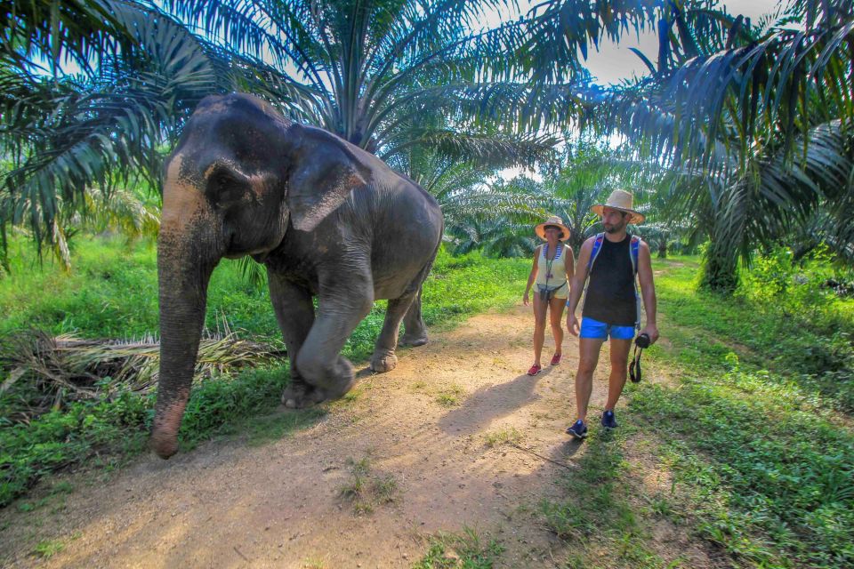 Krabi: Elephant Care House & 7-Level Huay Tho Waterfall Trip - Huay Tho Waterfall: Seven Levels, Caves Nearby, and a Swim in the Ponds