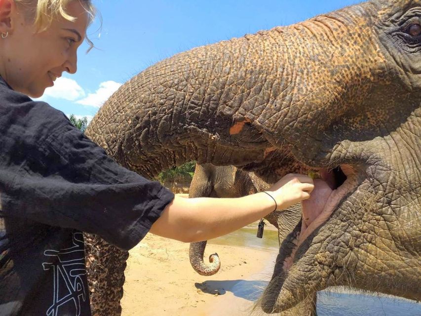 Krabi: Elephant Care House & 7-Level Huay Tho Waterfall Trip - What You Get for $77: Value Breakdown That Makes Sense