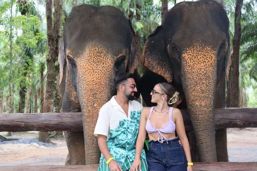 Krabi: Elephant Feeding Program - Key things to notice before you go