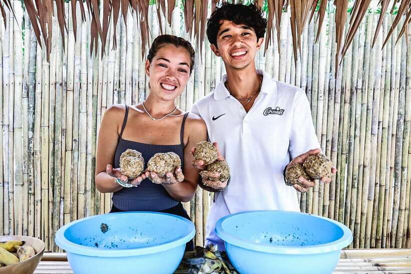 Krabi: Elephant Feeding Program - Should you book Krabi Elephant Feeding Program?