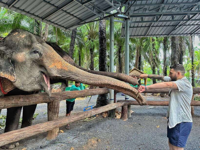 Krabi: Elephant Feeding Program - Meal prep with caretakers: fruit and more, taught step-by-step