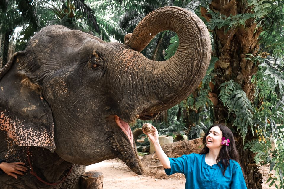 Krabi: Elephant Feeding Program - Who is the guide and what do you learn in the shelter?