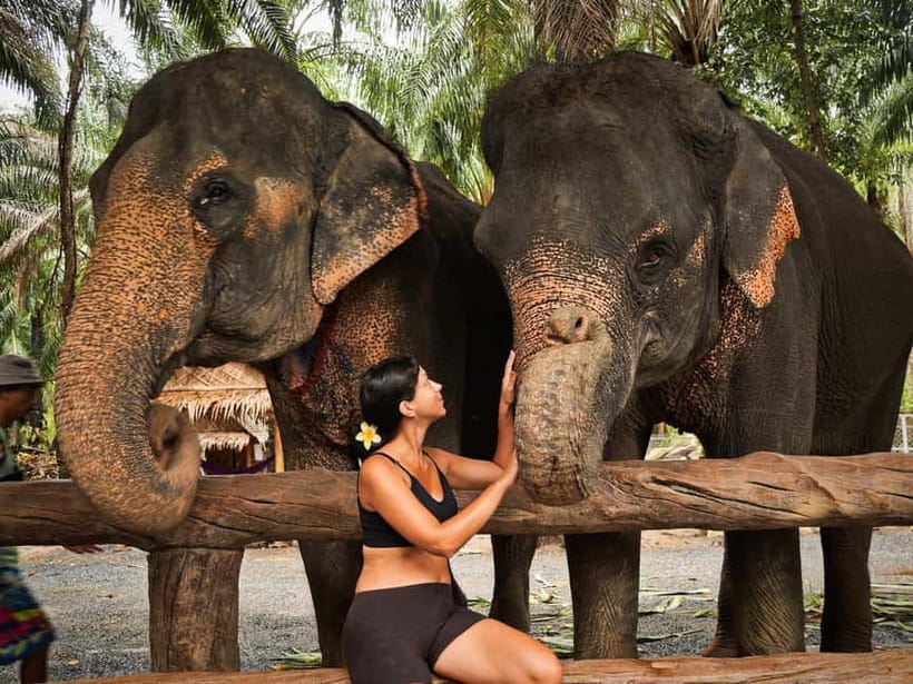Krabi: Elephant Feeding Program with Food Preparation - Should You Book This Krabi Elephant Feeding Program?