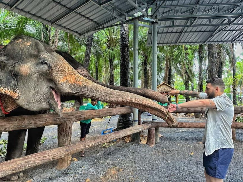 Krabi: Elephant Feeding Program with Food Preparation - Meeting Elephants as Individuals at an Ethical Sanctuary