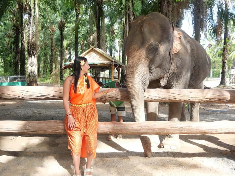 Krabi: Elephant Feeding Program with Traditional Thai Dress - Mahouts, Respect, and Minimal Touch Style
