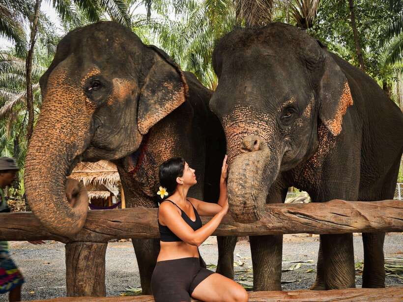 Krabi: Elephant Feeding Program - Krabi Elephant Shelter: what you’re really paying for