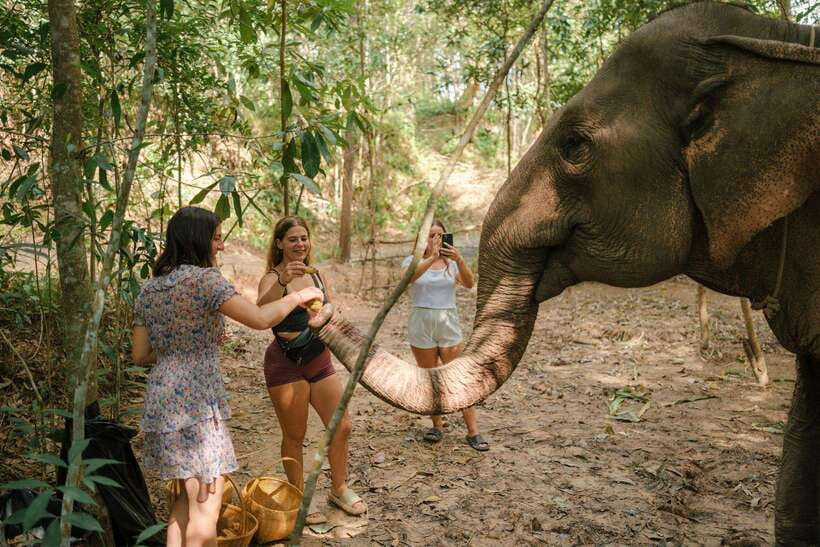 Krabi: Elephant Sanctuary (near Ao Nang) Visit - Who the 30 minutes is best for (and who should skip)